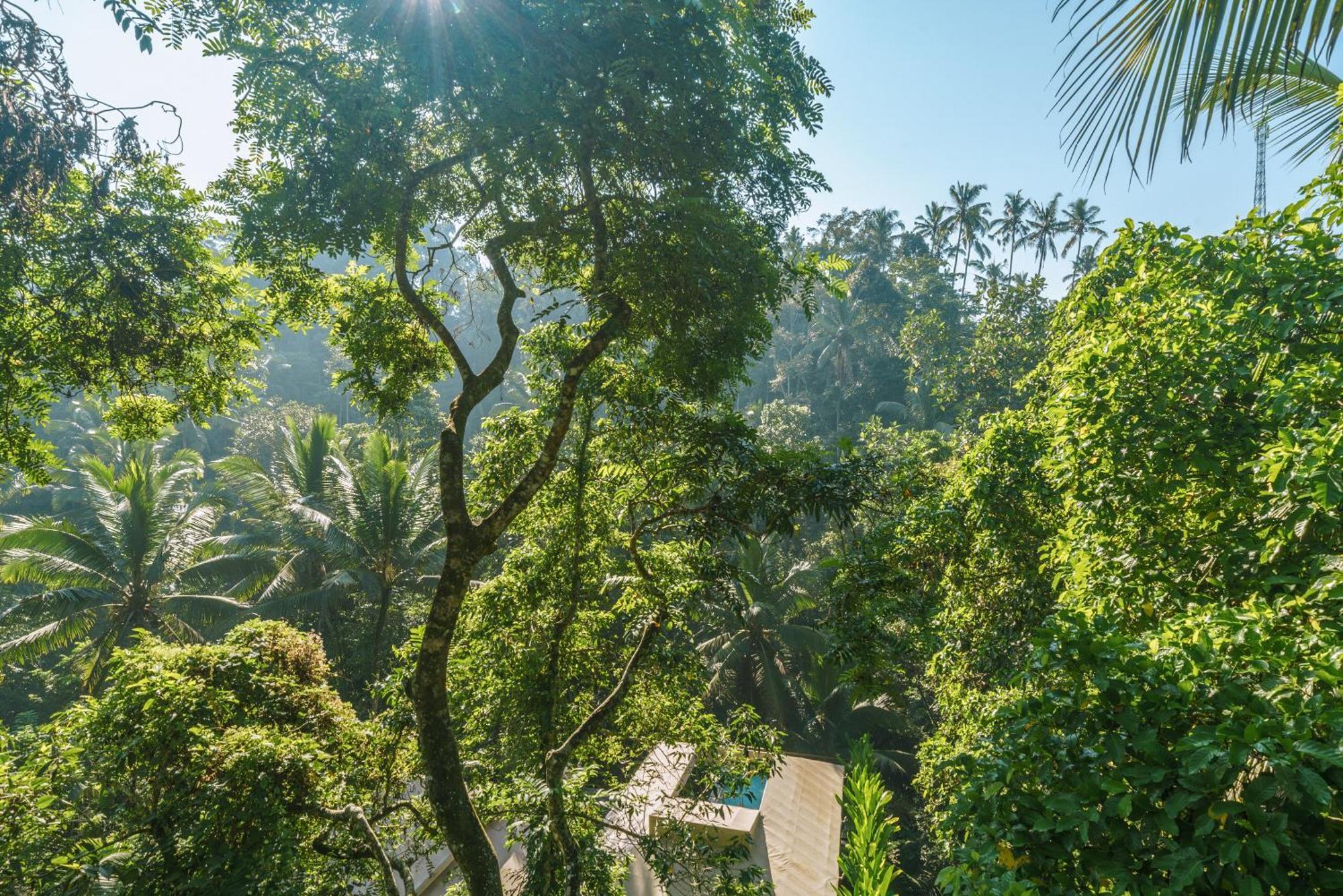 K Club Ubud Chambre photo